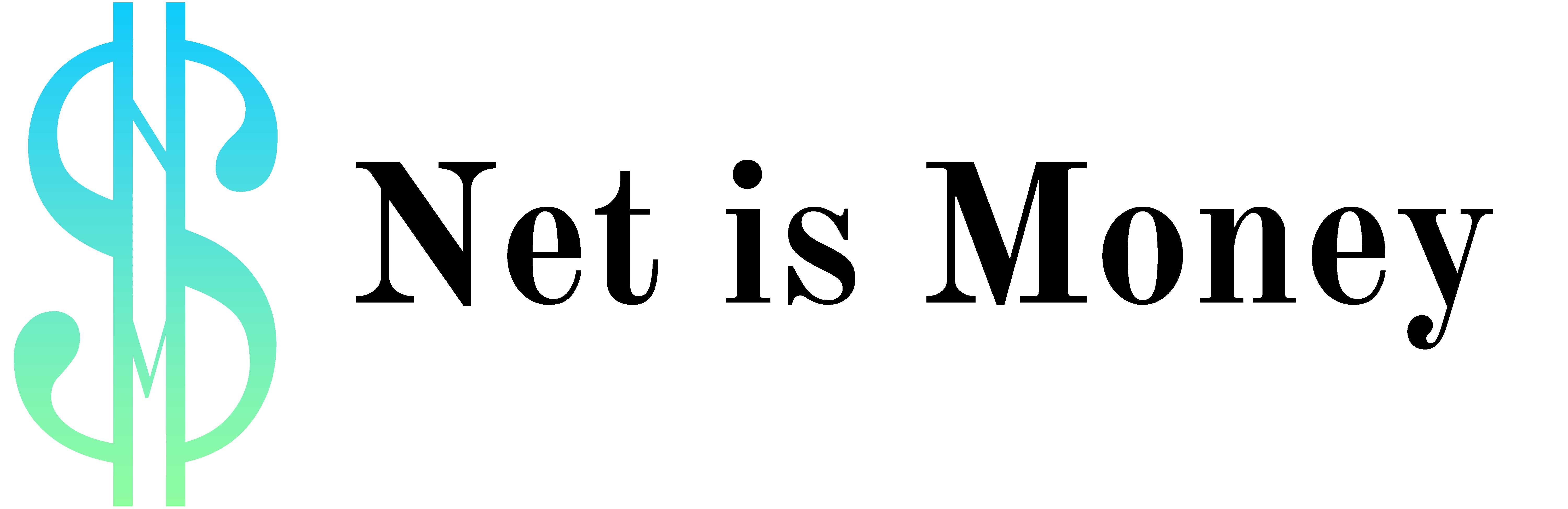 Net is Money logo with black text
